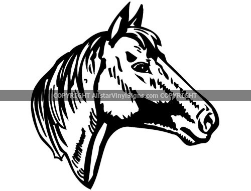 Horse (Head)