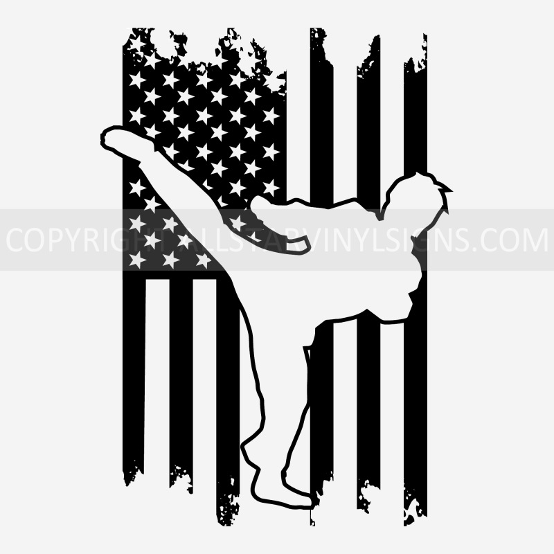 Martial Arts American Flag